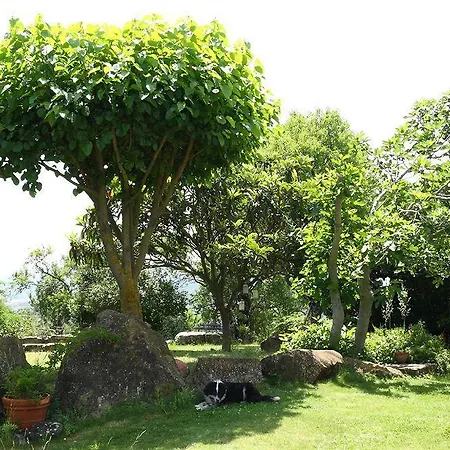 La Casetta Nel Bosco Εξοχικό σπίτι